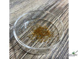 SwetAqua Shrimp Feeding - Кормушка для креветок стеклянная 60мм