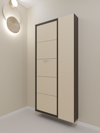 Обувница Айрон-5 Дуэт (фасад стекло капучино)