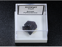 Куприт, в пластиковом боксе, Россия, Алтай №22288