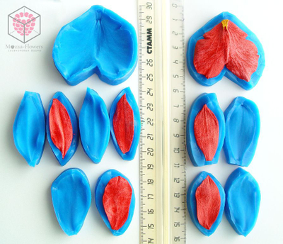 "Орхидея Камбрия" набор вайнеров и каттеров