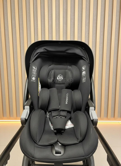 Детская коляска 3 в 1 Luxmom 710 Черный