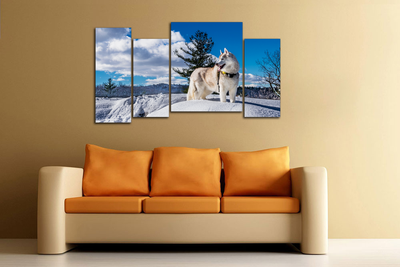 Модульная картина "Снежная лайка"