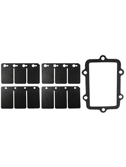 Ремкомплект лепесткового клапана SPI SM-07161C для BRP, Ski-Doo, Lynx GSX 800 HO (2004-2006) GSX 800 HO PTEK LTD (2007) GTX 800 HO (2005-2006)GTX 800 HO PTEK LTD (2007) MACH Z 1000 SDI (2005)