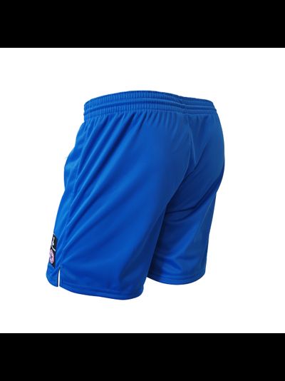 Шорты синтетические для самбо ВФС Bravegard Победа синие