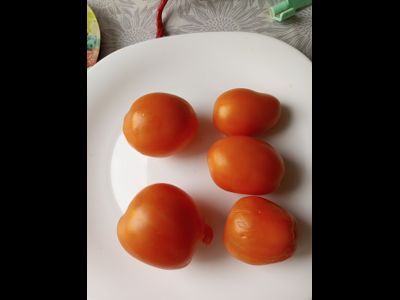 Томат Золото Колчака