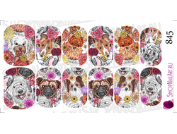 Слайдер дизайн 845