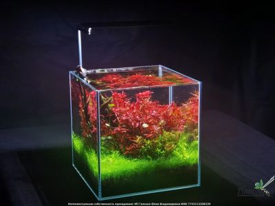 Светильник LEDSTAR AQ NANO III