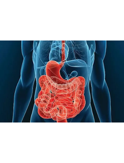 БАДы для ЖКТ