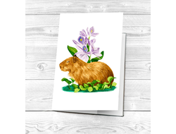 Картхолдер Капибара, Kapibara-san №3