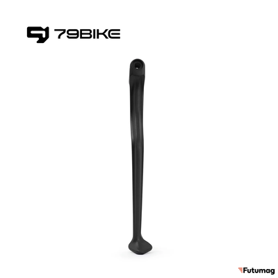 Подножка для электровелосипеда 79Bike