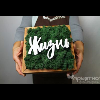 ЖИВАЯ ЭКО-КАРТИНА 1059