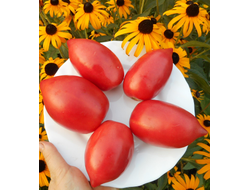 Томат Розовый фламинго (украинское)