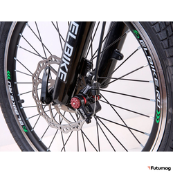 Электровелосипед Elbike Gangstar Vip 13