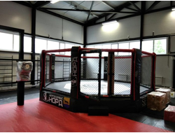 Ринги на помосте