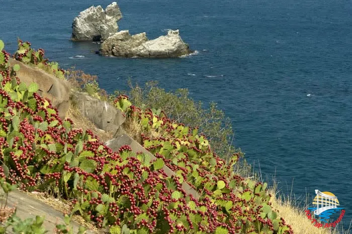 Парк в Утесе 