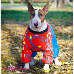 Комбинезон красно-синий