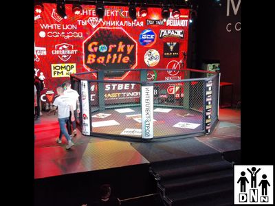 Восьмиугольный ринг (Октагон) без помоста (диаметр 8 м без помоста) DNN