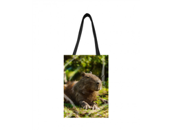 Сумка-шоппер вертикальная Капибара, Kapibara-san №40