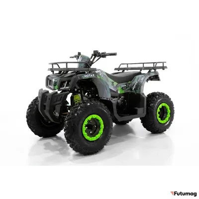 Квадроцикл MOTAX ATV Grizlik T200 Зеленый камуфляж