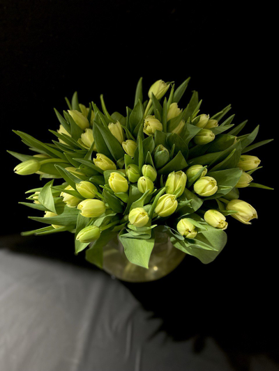 Тюльпаны пионовидные 51 шт