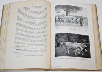 Крюков Н.А. Славянские земли. Том 1: Юго - западный район.  Пг.: Тип. В.Ф.Киршбаума, 1914.