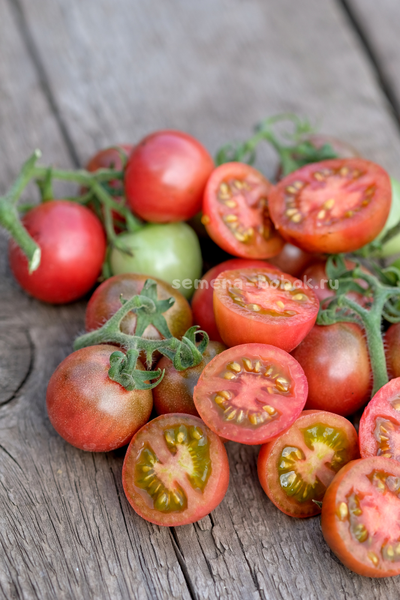Томат Гном Противоречия (Controversy), 10 шт
