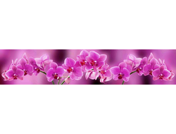 Фартук на МДФ КФ-011 Цветущая орхидея