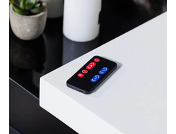 Линейный электрический камин Line WT Vision 42 LOG LED