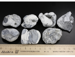 Кахолонг (Опал), желвак цельный в ассортименте, Оренбургская обл. (38-43 мм, 21-26 г) №29431