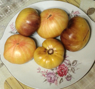 Семена томата Большой Желто - Синий