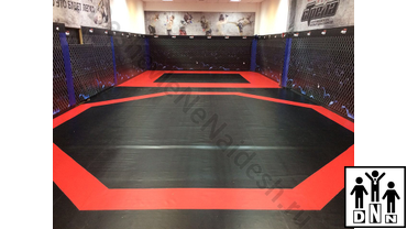 имитация октагона