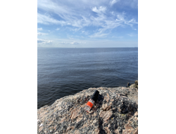 Духи АККОРД: ВОЛНЫ ЛЮБВИ, 3.5 мл