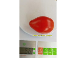 Томат Гном Красное сердце, (Dwarf Red Heart)
