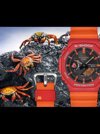 Часы Casio G-Shock GA-B2100DF-4A