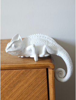 Хамелеон (интерьерный)