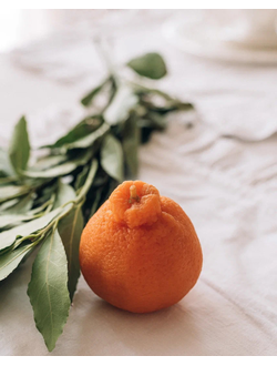 Силиконовая форма мандарин халабон вытянутый