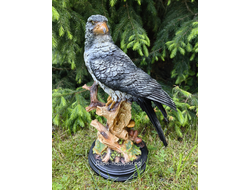 СОКОЛ  - символ богатства и благополучия 39*27см 2кг полистоун Россия 2678/015015