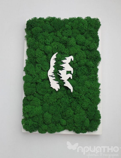 ЖИВАЯ ЭКО-КАРТИНА 1038