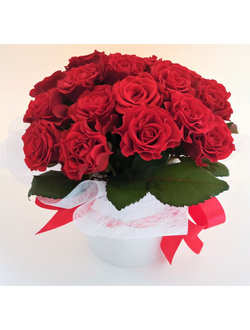 25 красных роз в шляпной коробке "Рафаэлло"