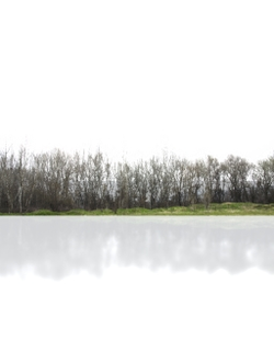 горизонт Деревья на горизонте BackdropTreelineBare001