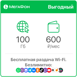 Мегафон 100 Гб