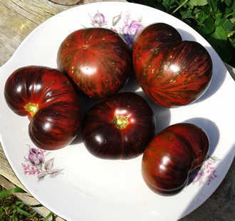 Семена томата Бифштекс Марши