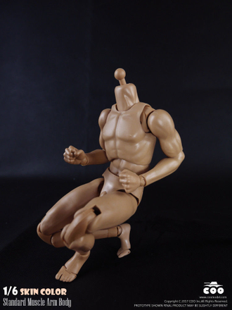 Высокое тело без шеи с мускулистыми руками - Standart Muscle Arm Tall Body (BD008) - COOMODEL