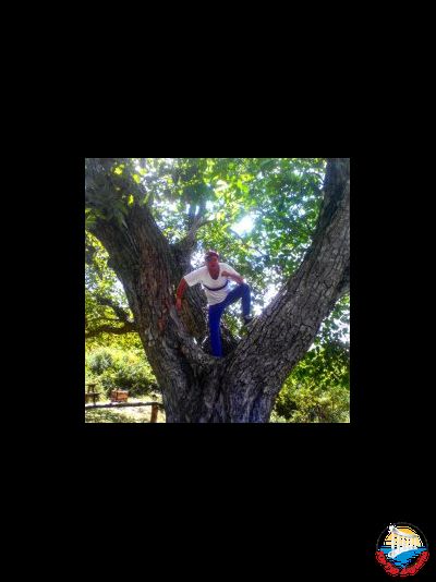 Красоты Южной Демерджи