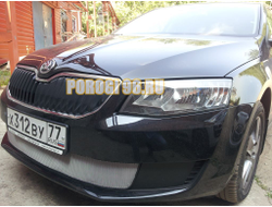 Защита радиатора Skoda Octavia А7 Active 2013-2017 chrome