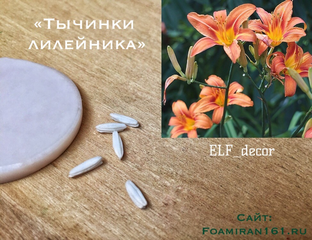 Р›РёР»РµР№РЅРёРє С‚С‹С‡РёРЅРєРё