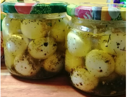 Сыр из козьего молока в оливковом масле