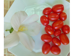 Томат Суинг Тинг Грейп (Swing Ting Grape)