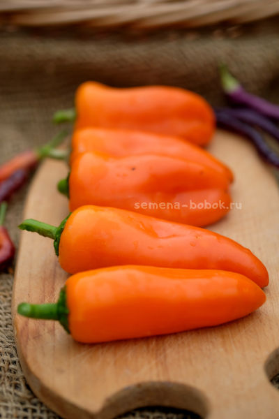 Перец сладкий Апельсин, 10 шт