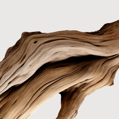 Matiere Premiere Santal Austral Extrait